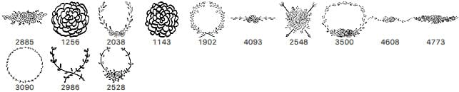 13 Flowers Hand Drawn Brushes - Schematic