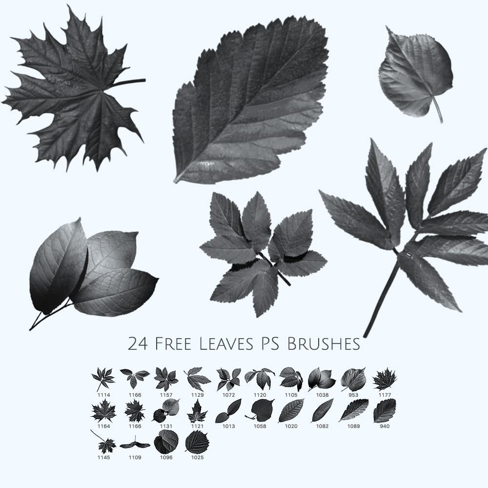 24 Free Leaves Photoshop Brushes
