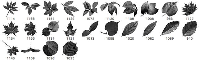 24 Free Leaves Photoshop Brushes - Schematic