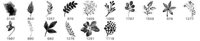 16 Watercolor Floral Brushes - Schematic
