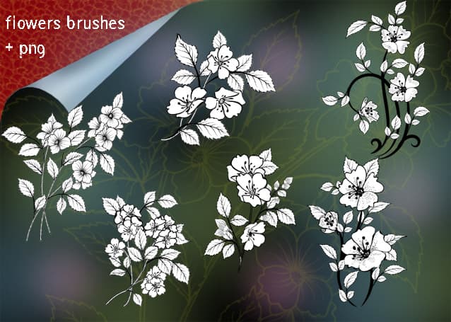 Pack of 6 Flowers Brushes