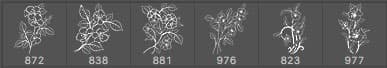 Pack of 6 Flowers Brushes - Schematic