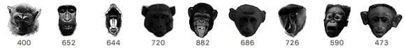 Monkey Brush - Schematic