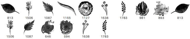 Watercolor Floral Brushes - Schematic