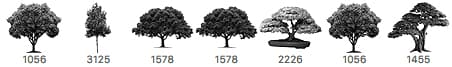 7 Free Trees PS Brushes - Schematic