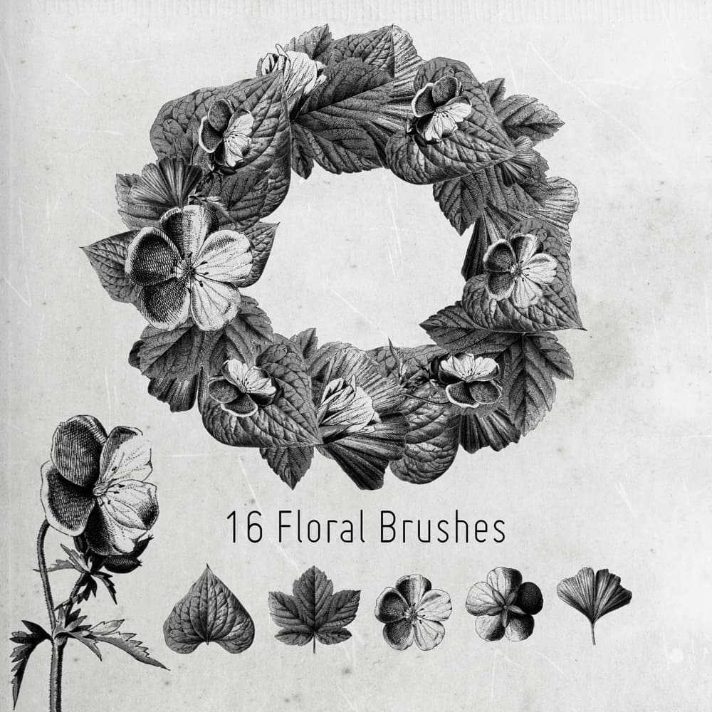 16 Flower and Leaves Brushes