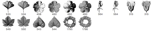 16 Flower and Leaves Brushes - Schematic