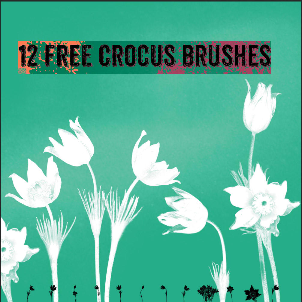 12 Free Crocus Brushes