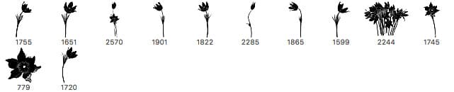 12 Free Crocus Brushes - Schematic