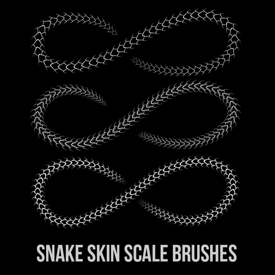 Snake Skin Scale Brushes