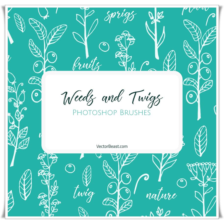 Weeds and Twigs Photoshop Brushes