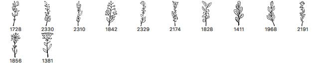 Weeds and Twigs Photoshop Brushes - Schematic