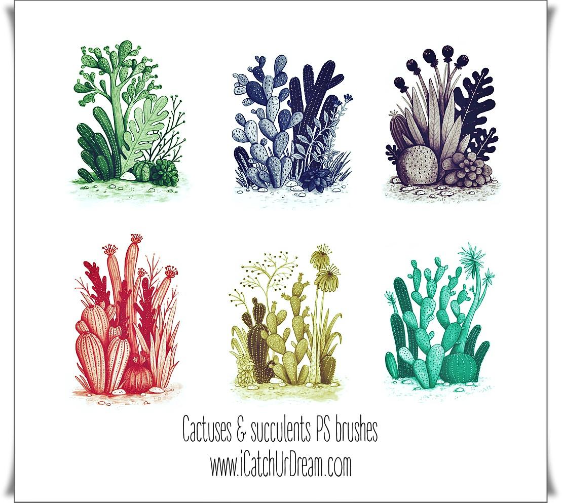 Cactuses Free Brushes