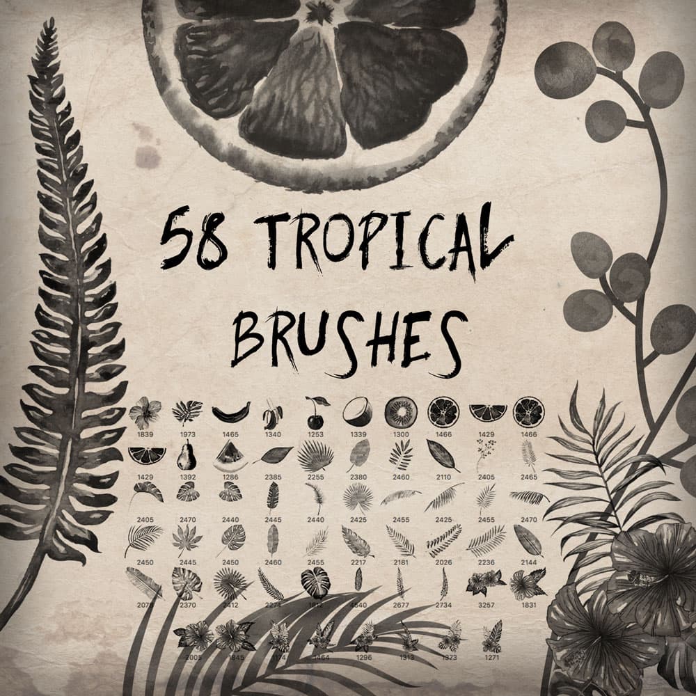 58 Tropical Brushes