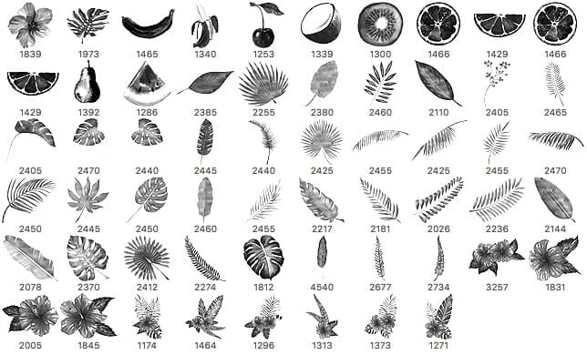 58 Tropical Brushes - Schematic