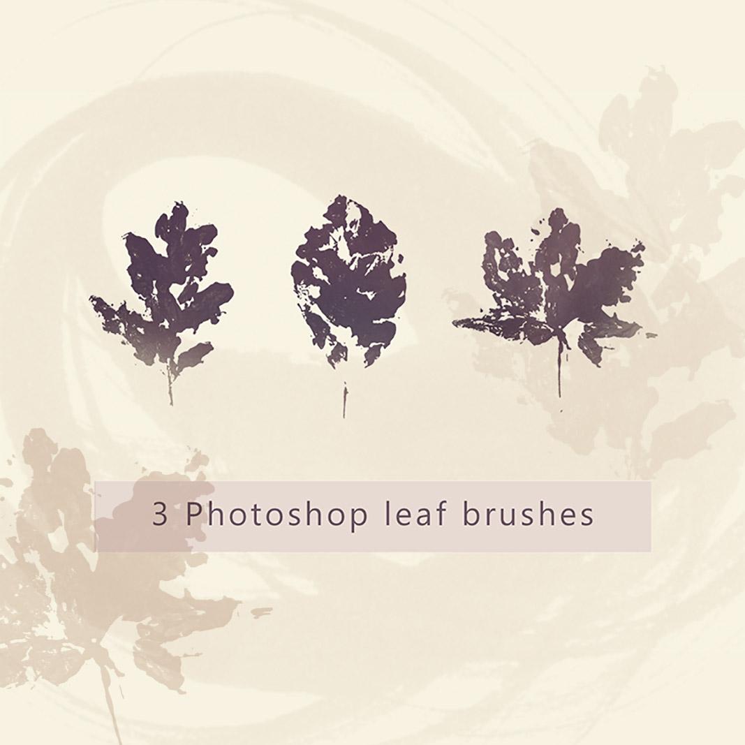 Oak, Beech and Maple Leaves PS Brushes
