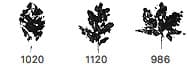 Oak, Beech and Maple Leaves PS Brushes - Schematic