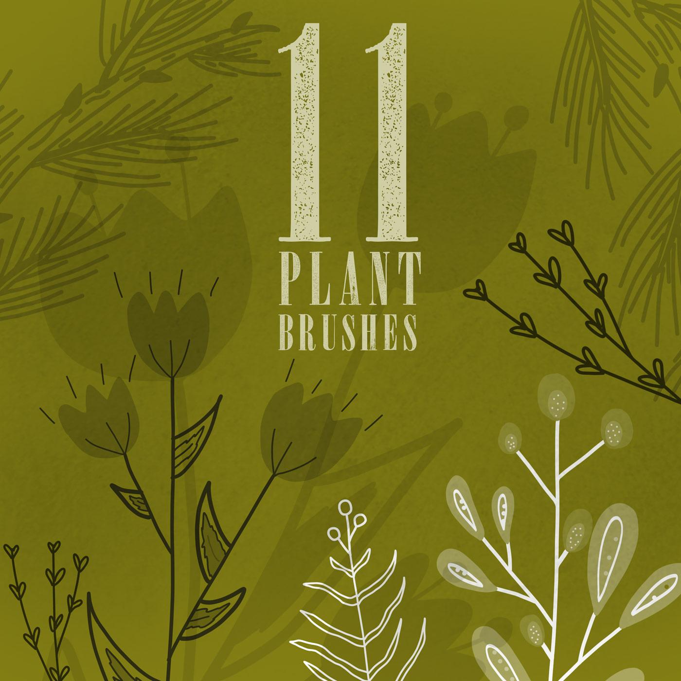 11 Plant Brushes