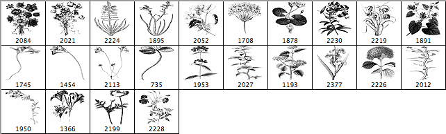 24 Flower Brushes - Schematic