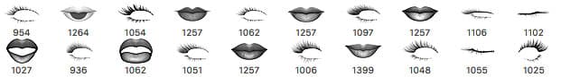 Lips and Lashes Brushes - Schematic