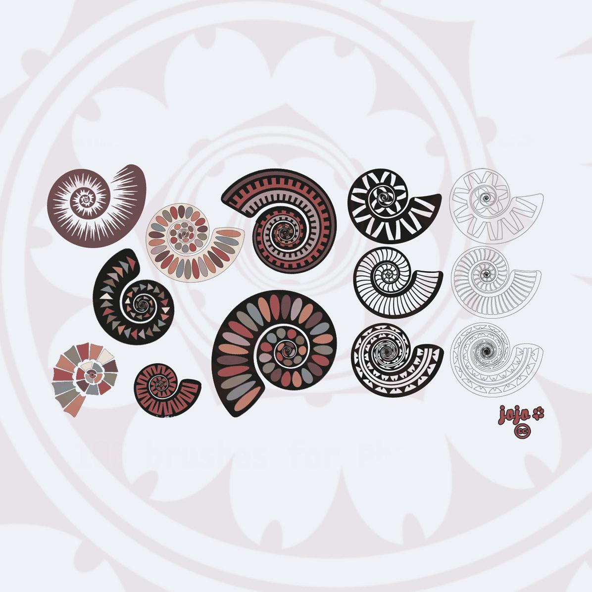 106 Ammonite Spiral Brushes