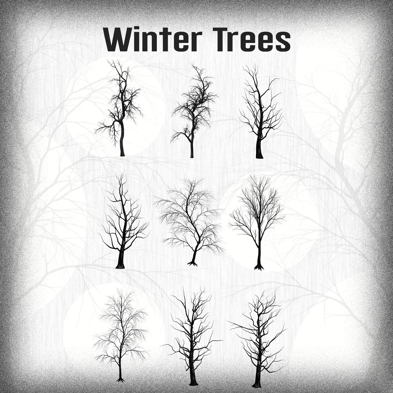 Winter Trees