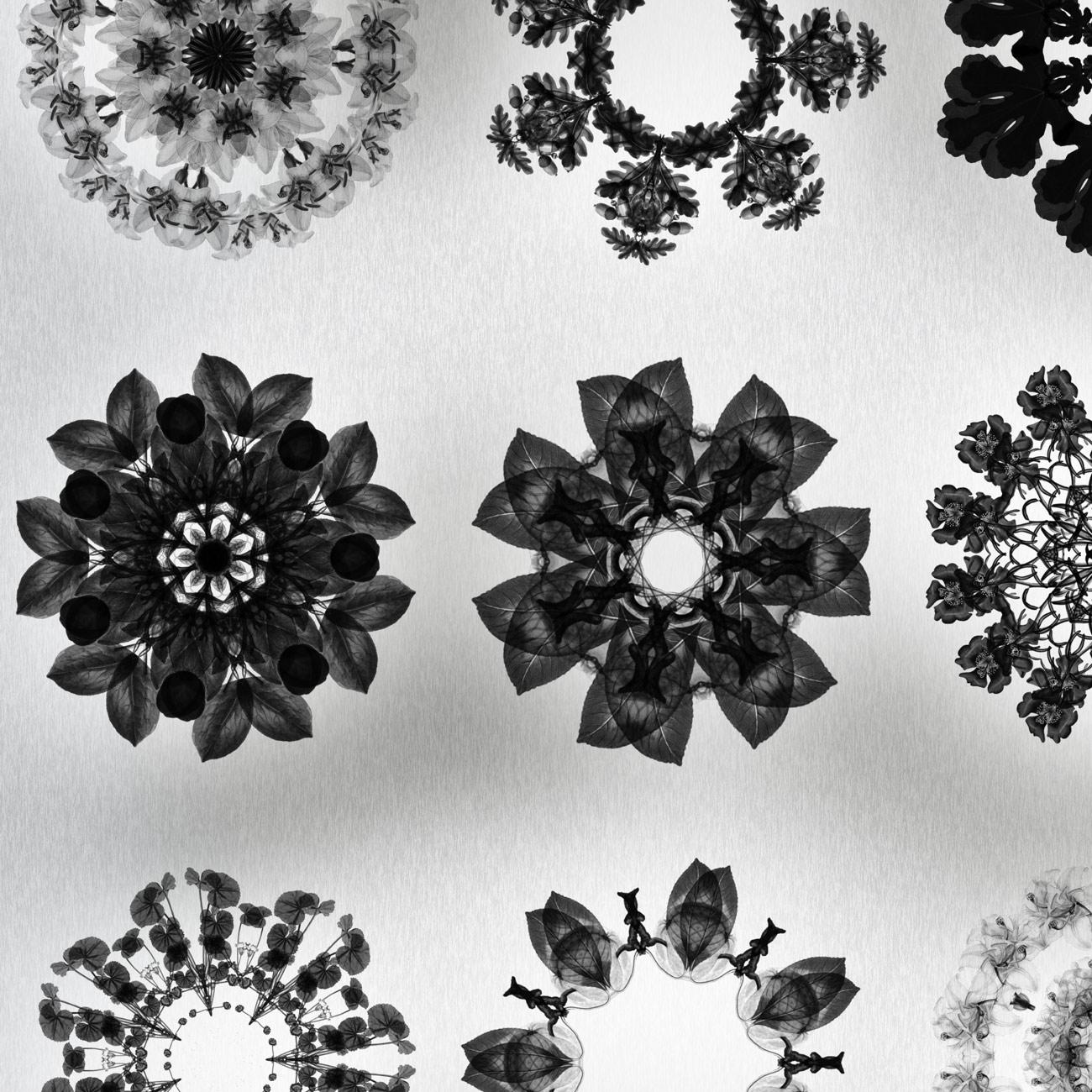 18 Nature Mandala