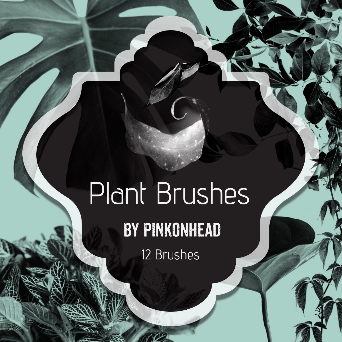 Plant Leaves Brushes