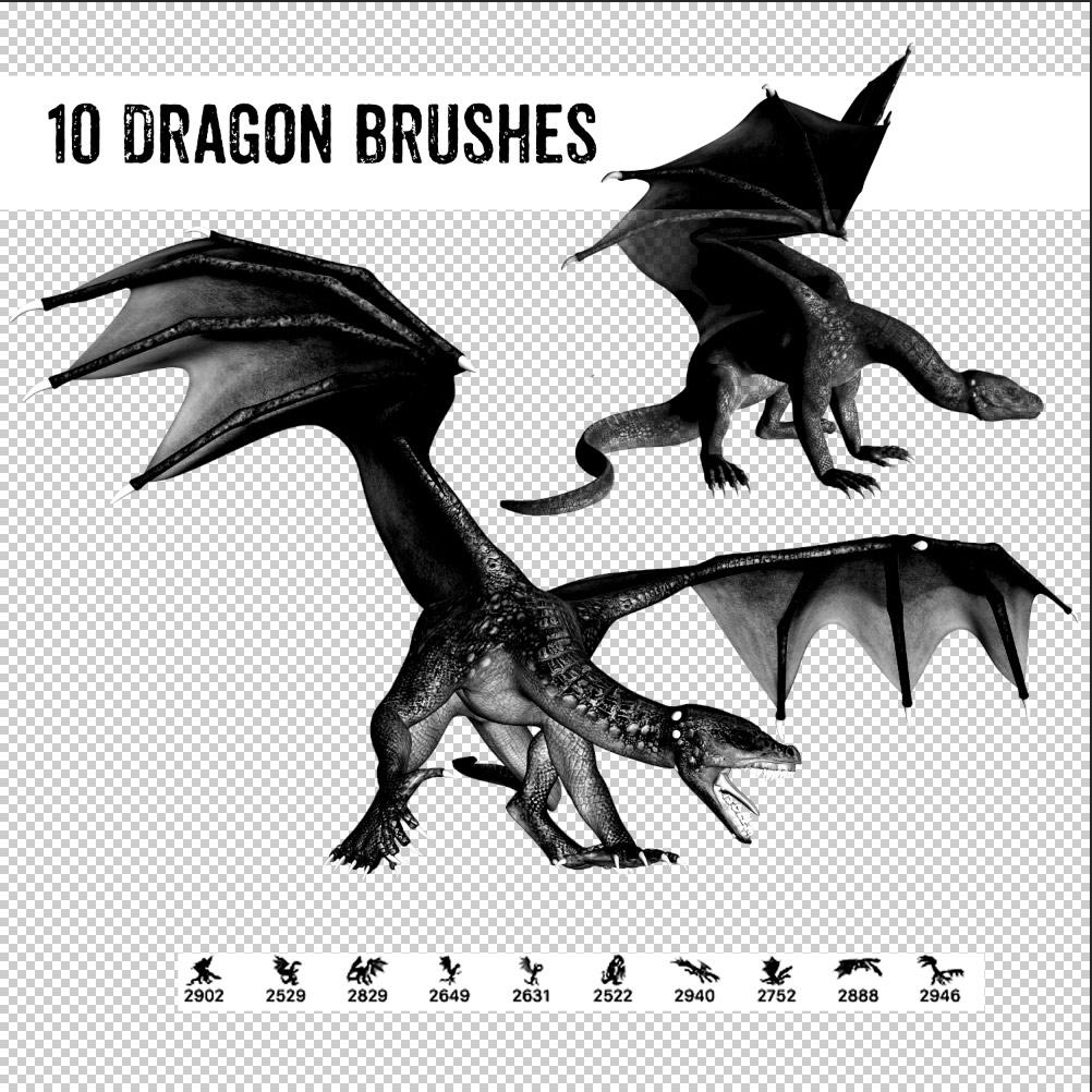 10 Dragon Poses Brushes