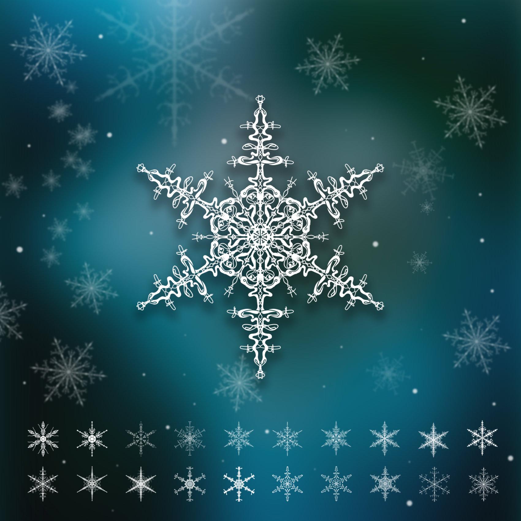 20 Snowflake Brushes