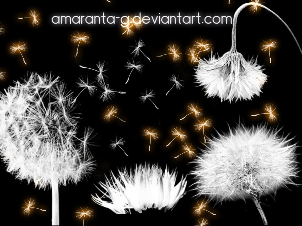 Dandelion Brushes