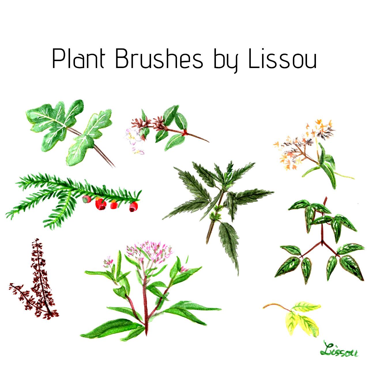 Plants and Flowers