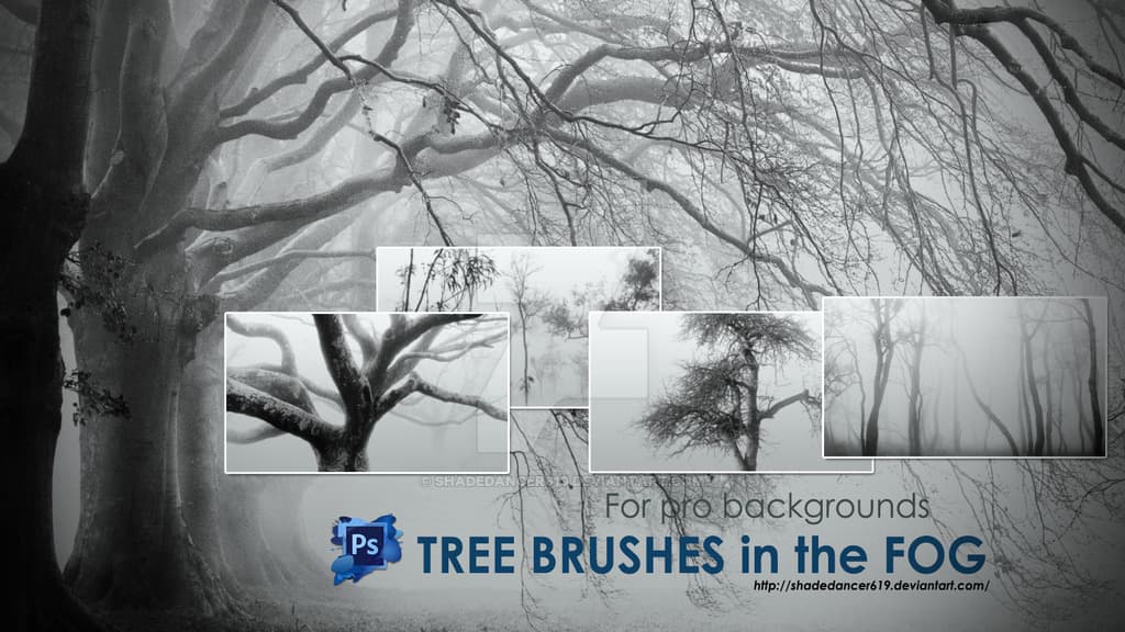 Trees in the Fog