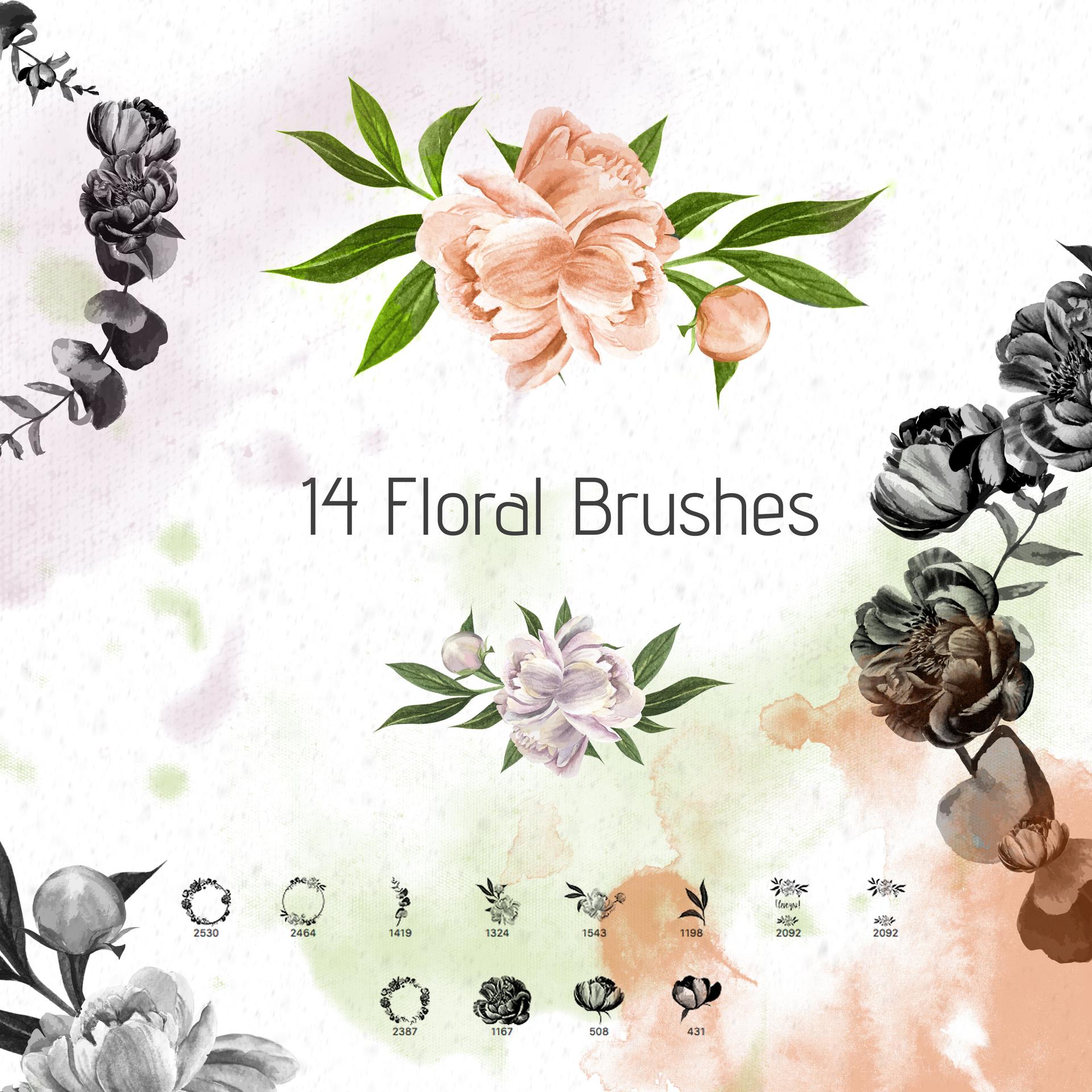 14 Peonies Brushes