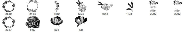 14 Peonies Brushes - Schematic