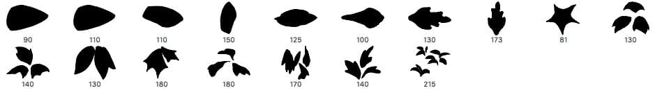 17 Photoshop Leaf Detail Brushes - Schematic