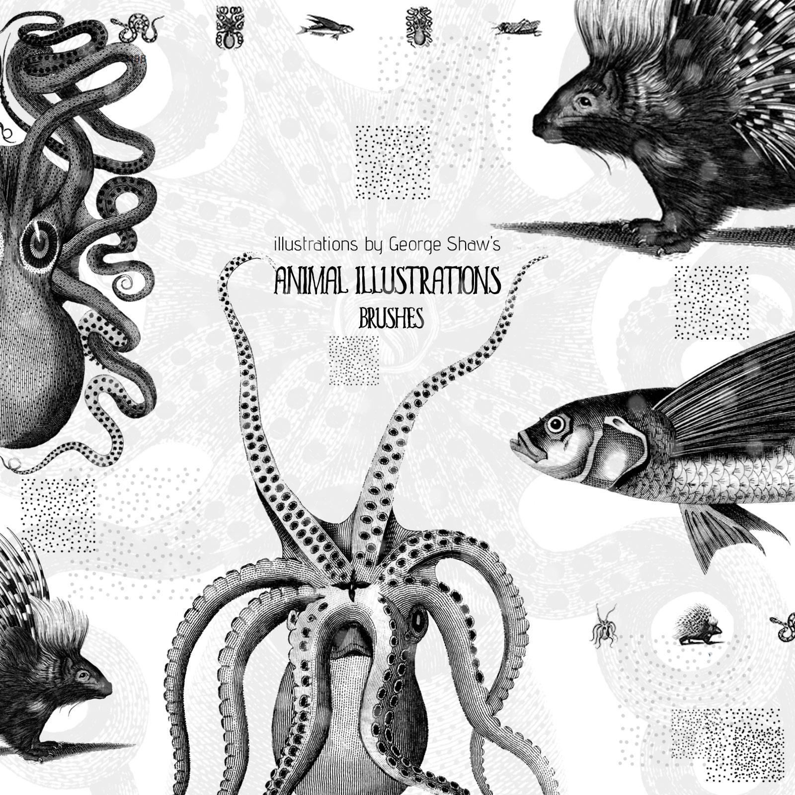 CC0 Animal Illustrations Brushes