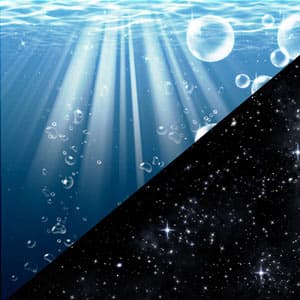 Space Water Brushes