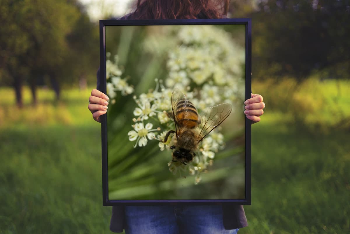 Frame Mockup Woman Holding a Frame
