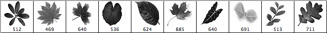Falling Leaves - Schematic