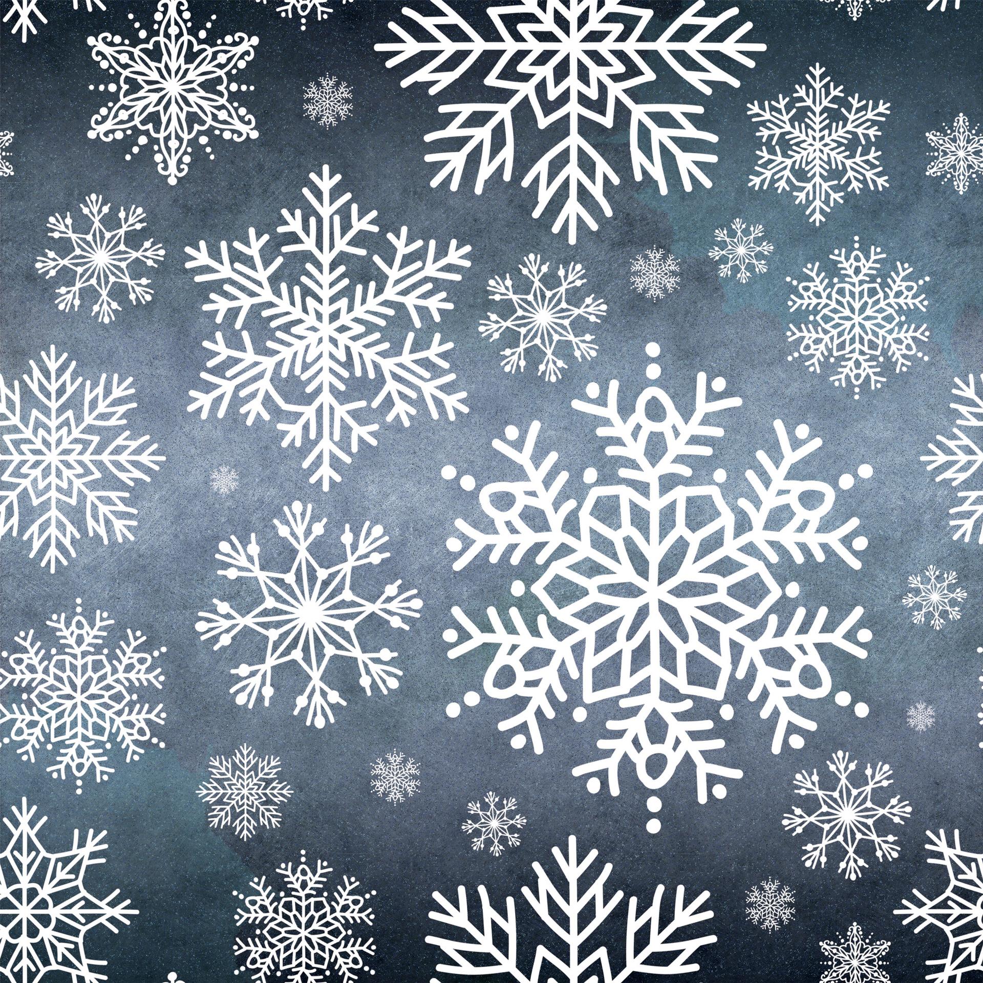 10 Snowflake Brushes