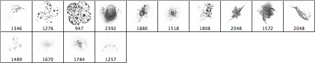 Exultation Brushes - Schematic
