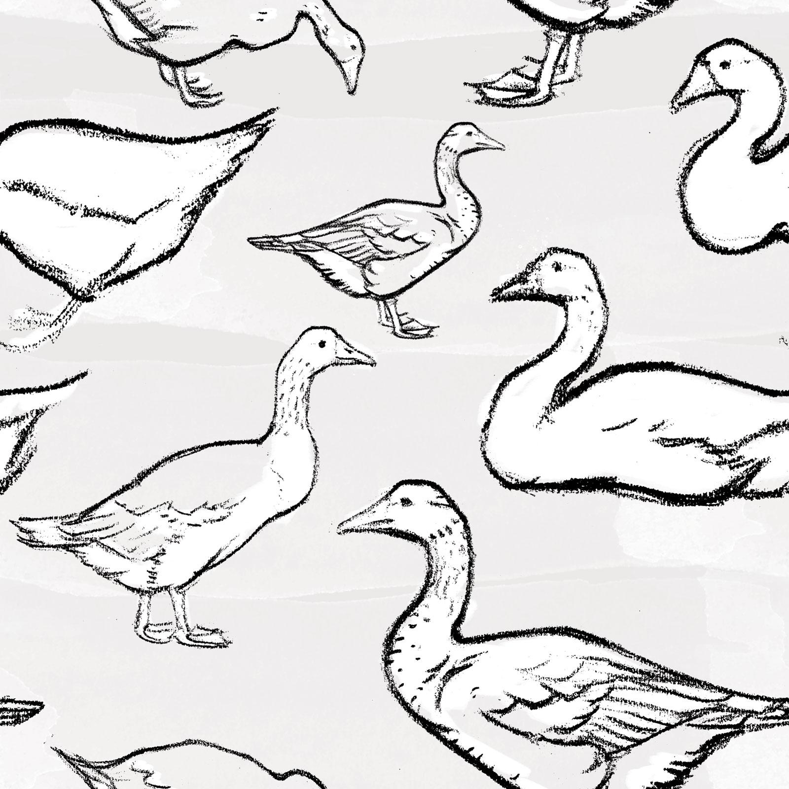 Goose Brushes