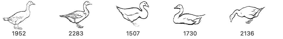 Goose Brushes - Schematic