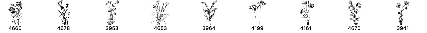 9 Free Flower Brushes - Schematic