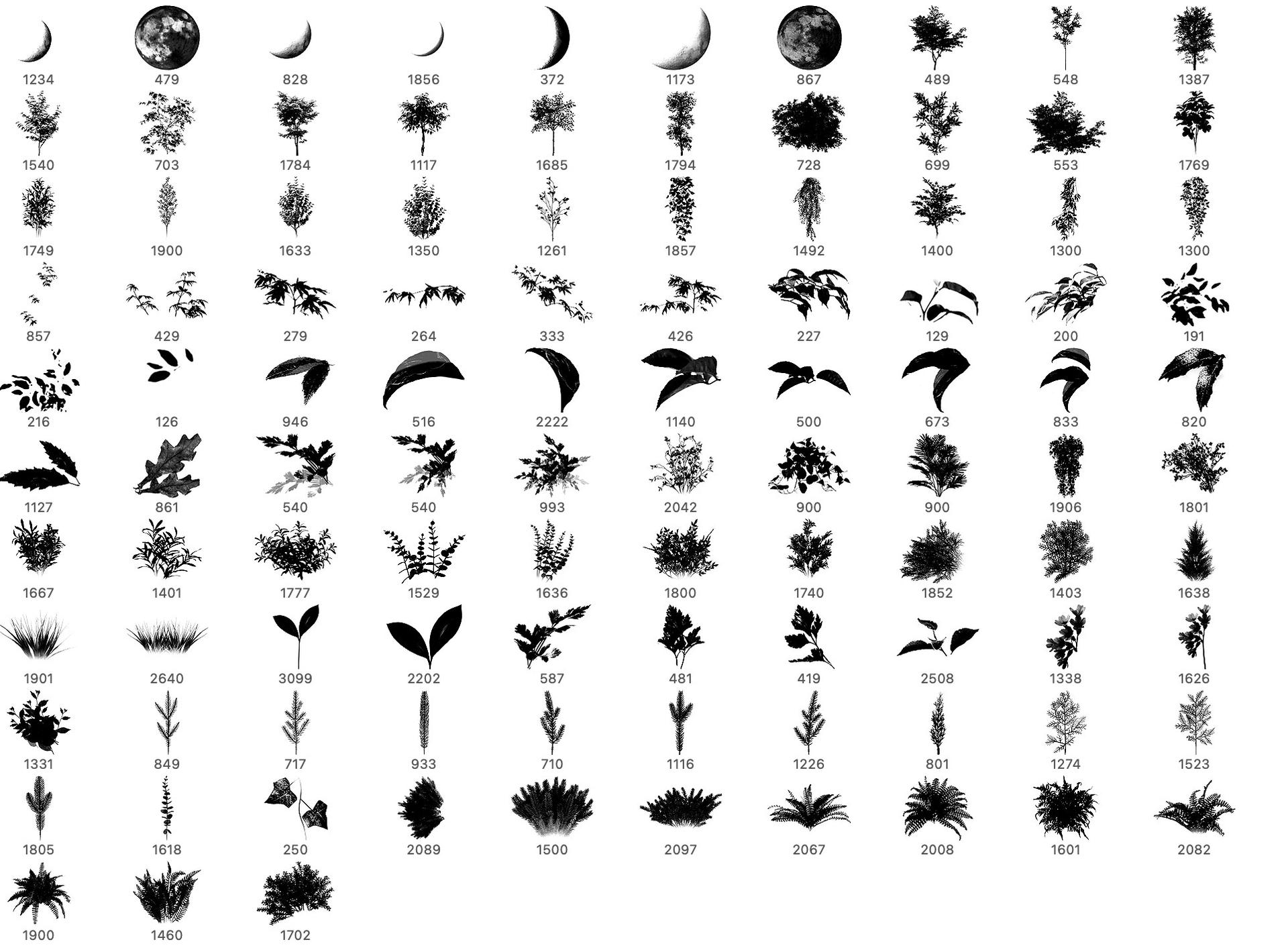 103 Free Foliage Brushes - Schematic