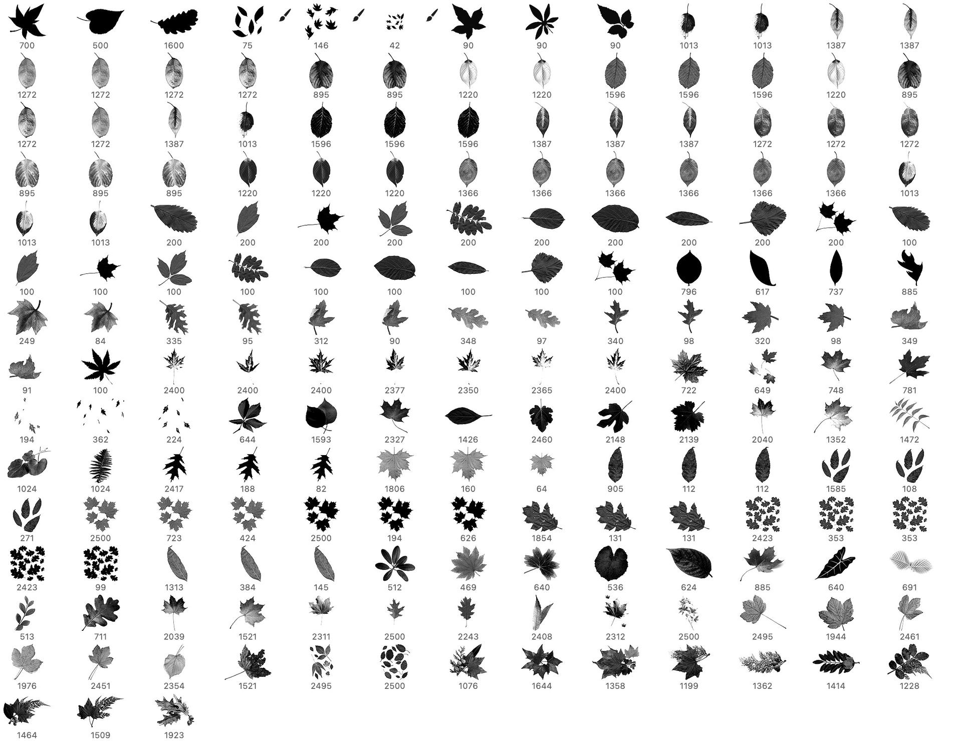 Leaves Free Brushes for Photoshop - Schematic