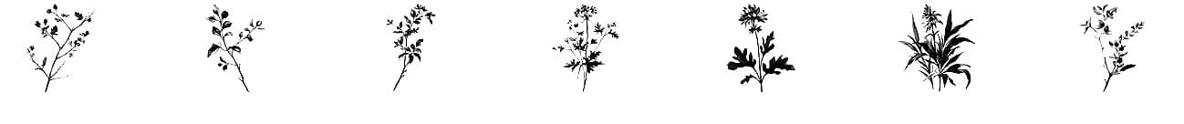 7 Free Watercolor Plant Twigs Photoshop Brushes - Schematic