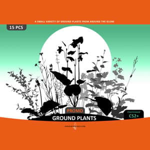 Ground Plants Selection - Preview 1