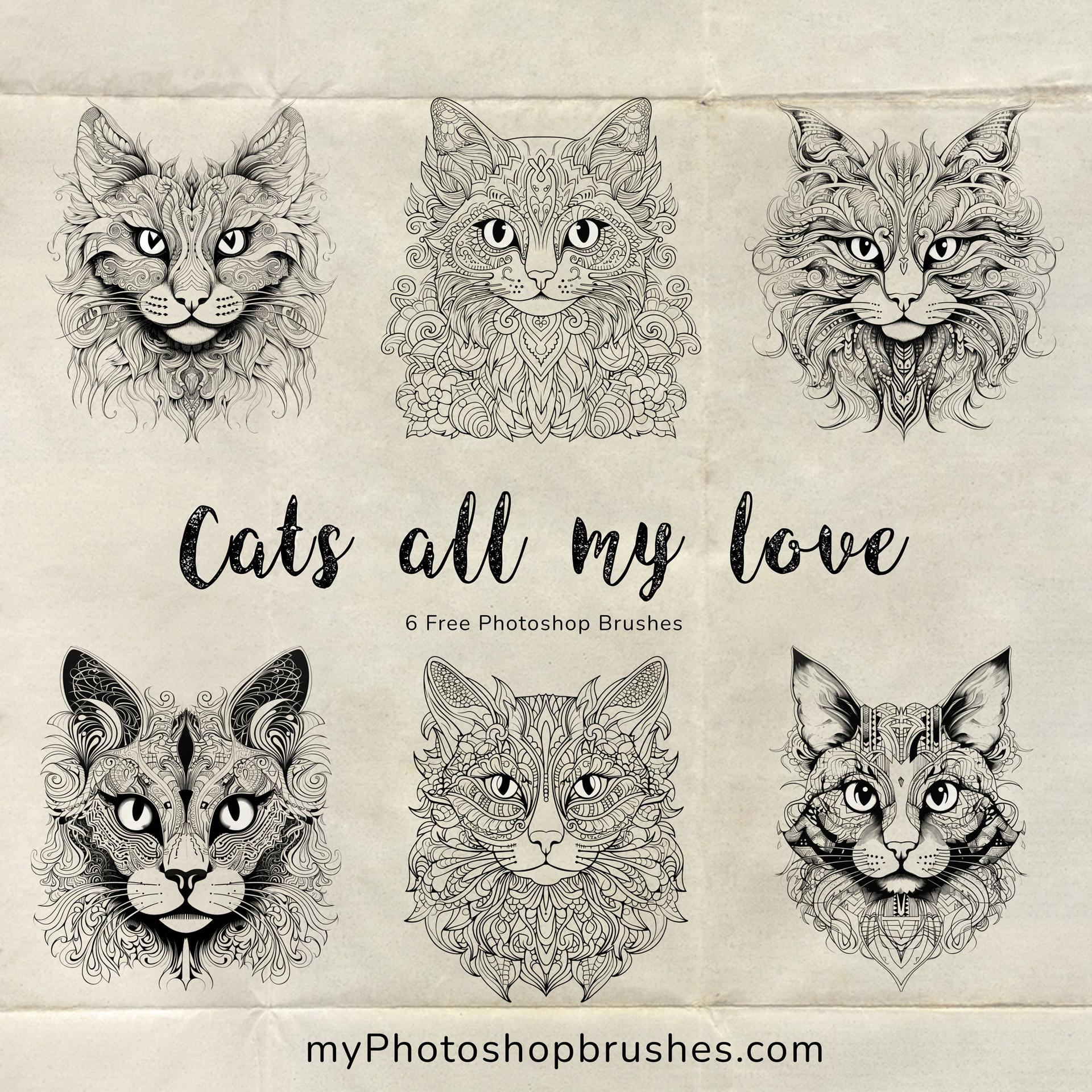 6 Cat Brushes